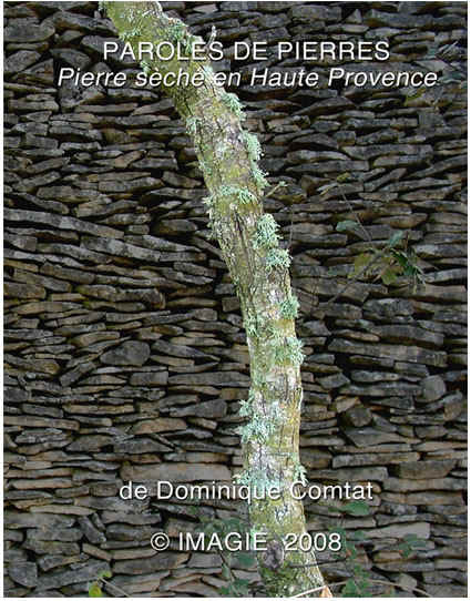 Couverture dvd.jpg (109917 octets)